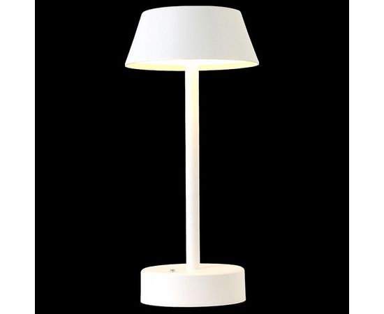  Настольная лампа декоративная SANTA LG1 WHITE, фото 1 