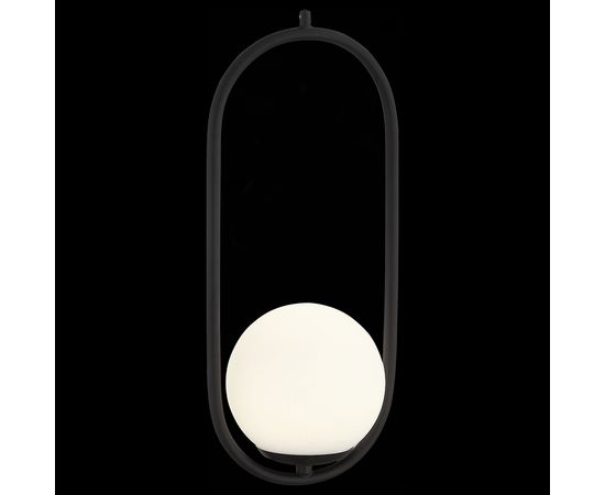  Подвесной светильник Donolo SL395.403.01, фото 4 