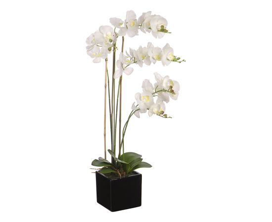 Растение в горшке (80 см) Белая орхидея YW-36, фото 3 