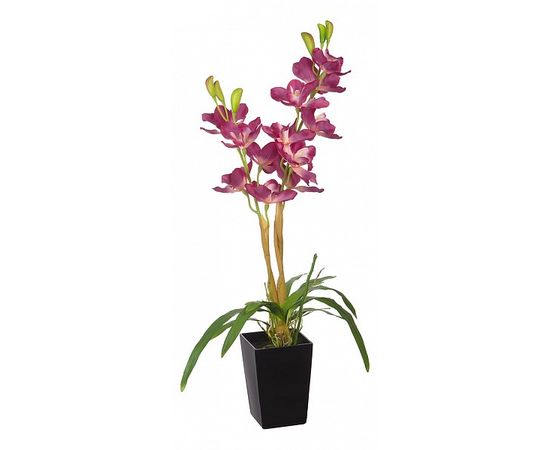  Растение в горшке (80 см) Орхидея YW-34, фото 1 