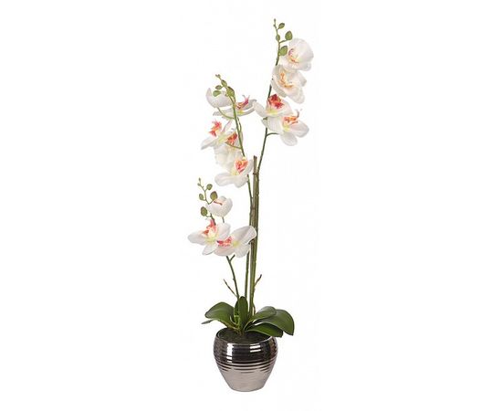  Растение в горшке (62 см) Орхидея в вазе YW-SUH27, фото 2 
