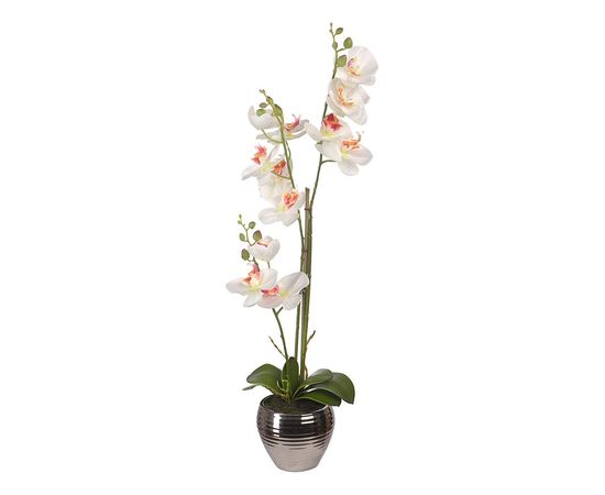  Растение в горшке (62 см) Орхидея в вазе YW-SUH27, фото 3 