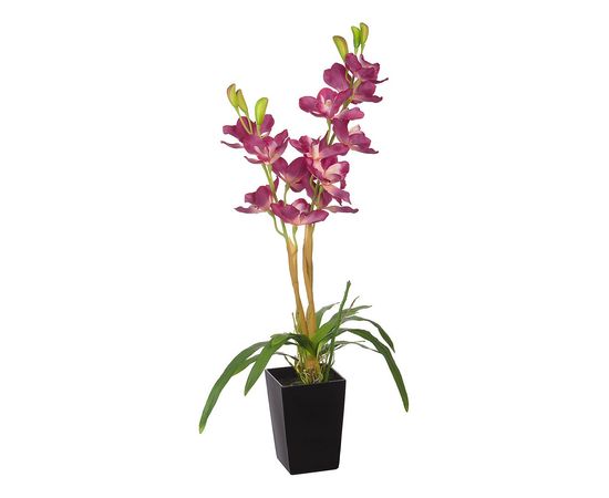  Растение в горшке (80 см) Орхидея YW-34, фото 3 