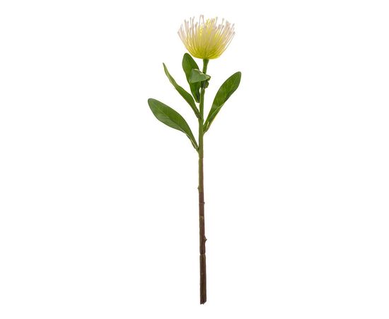  Цветок (40 см) Леукоспермум 265-600, фото 3 