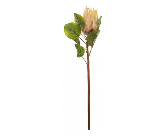  Цветок (68 см) Протея 278-118, фото 2 
