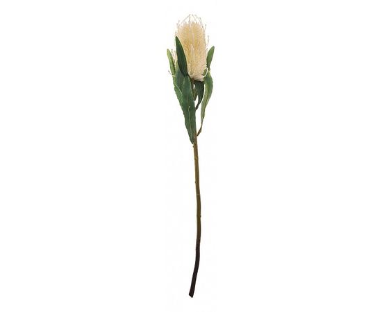  Цветок (63 см) Протея 278-126, фото 1 