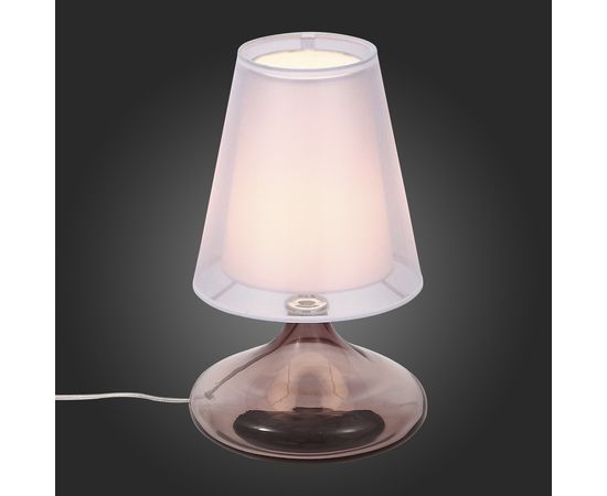  Настольная лампа декоративная Ampolla SL974.604.01, фото 4 