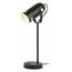  Настольная лампа офисная N117 Б0047193, фото 1 