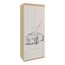  Шкаф платяной Форсаж, фото 1 